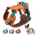 Dogs Chest Strap Dog Harness and Leash Set Small Pet Supplies Collar