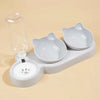 Pet Bowls With Water Feeder, 3 In 1 Ear Design Tilted Cat Bowl Set