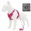 Harness and Leash Set Pet Accessories Dog French Puppy Collar