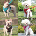 Harness and Leash Set Pet Accessories Dog French Puppy Collar
