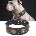 Dog Harness and Leash Set Things Animals Supplies Dogs