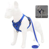 Harness and Leash Set Pet Accessories Dog French Puppy Collar